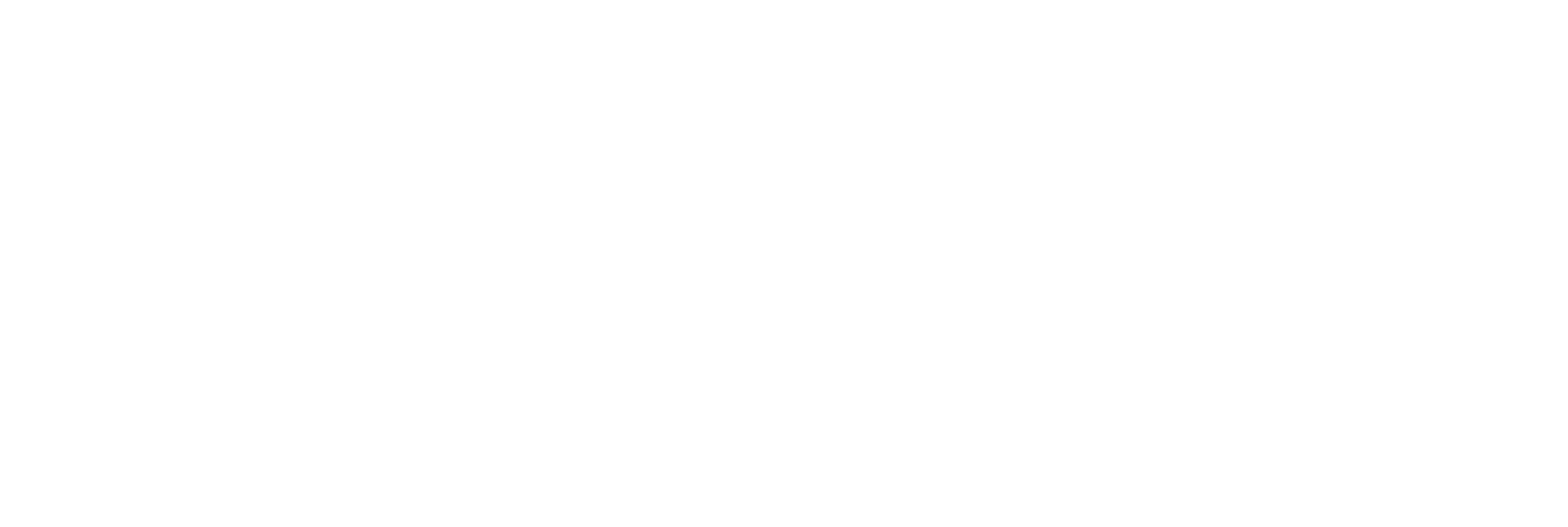 Logotype - Large White